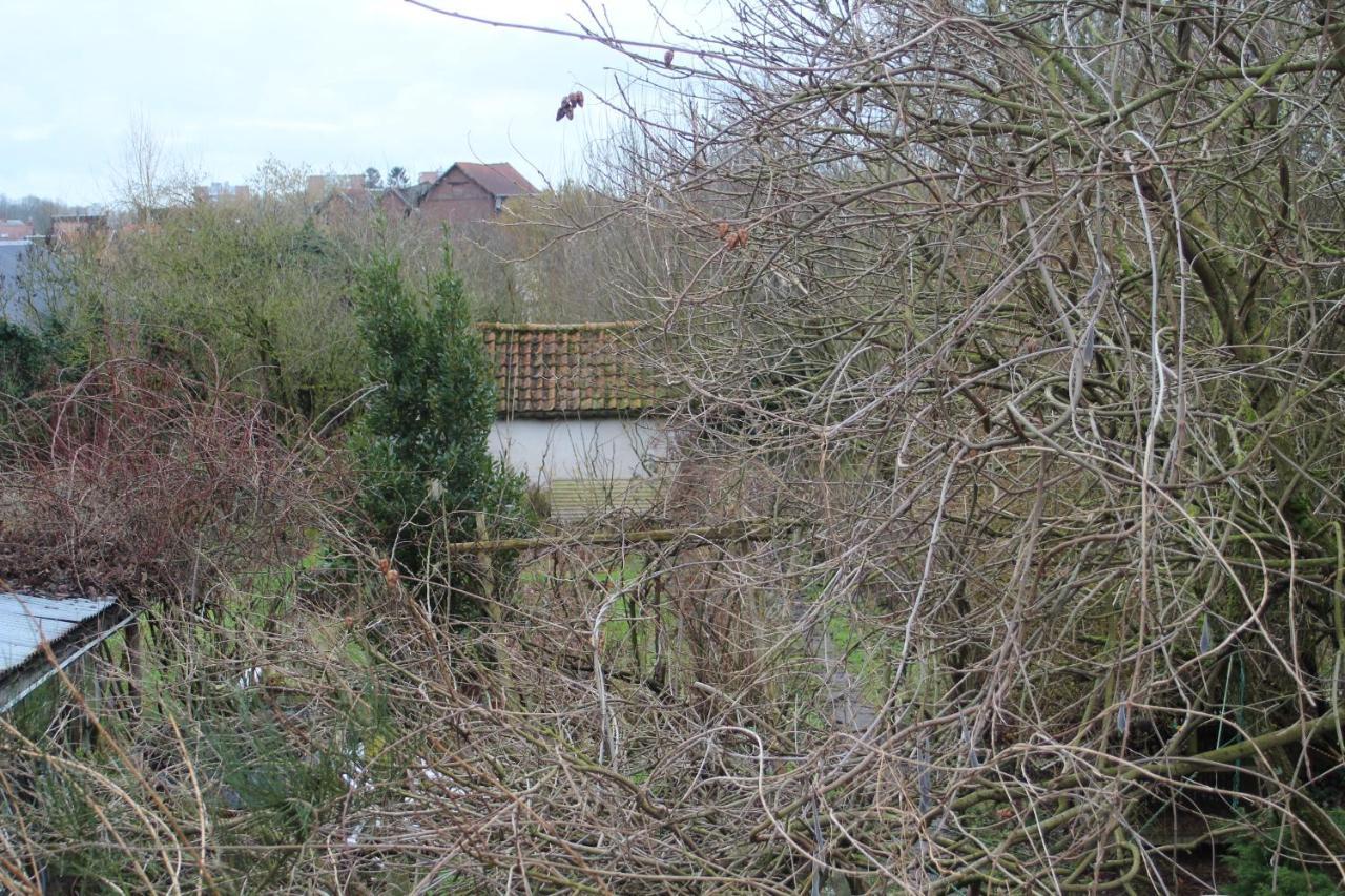 Maison D'Artiste Acces Jardin Maubeuge Exterior photo